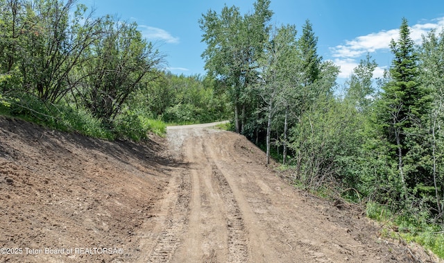 Hillside Loop Rd, Thayne, WY 83127 - photo 6