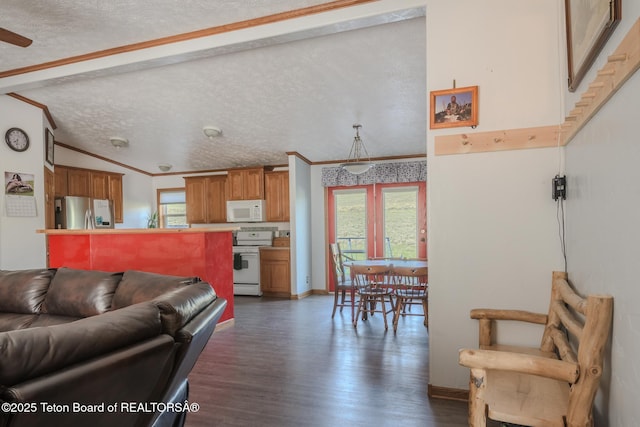 58 Blackhawk Trl, Boulder, WY 82923 - living area with crown molding, dark wood-style flooring, vaulted ceiling, a textured ceiling, and baseboards