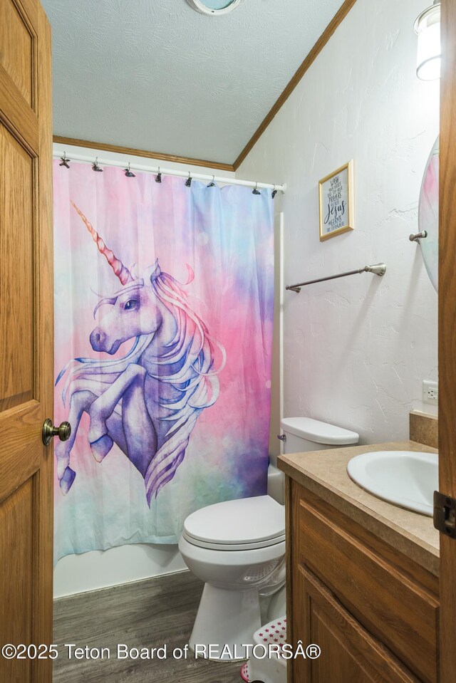 58 Blackhawk Trl, Boulder, WY 82923 - bathroom with vanity, toilet, a textured ceiling, wood finished floors, and curtained shower