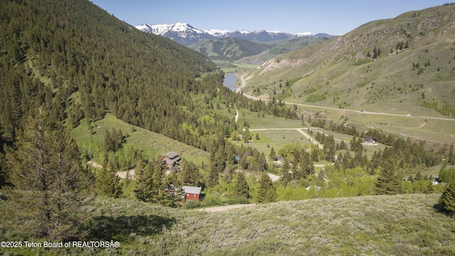 1255 E Deer Creek Dr, Jackson, WY 83001