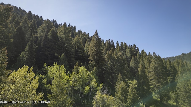 1255 E Deer Creek Dr, Jackson, WY 83001