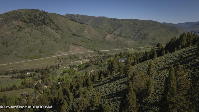 1255 E Deer Creek Dr, Jackson, WY 83001
