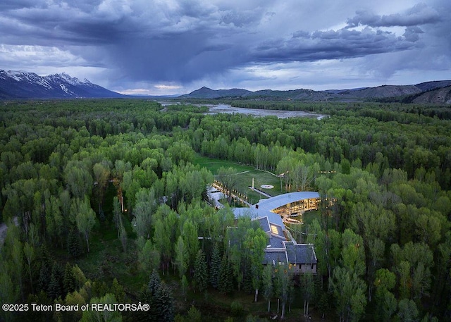 1120 S Thunder Rd, Wilson, WY 83014 - bird's eye view of a forest and a water and mountain view