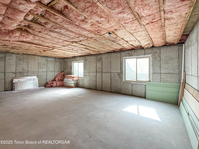 210 E 8th Ave, Afton, WY 83110 - view of basement