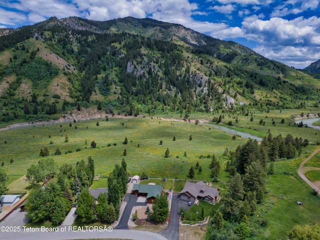525 Three Rivers Dr, Alpine, WY 83128 - photo 15