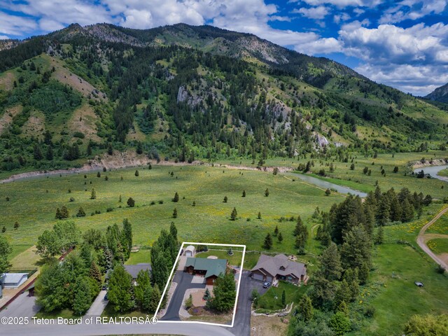 525 Three Rivers Dr, Alpine, WY 83128 - photo 17