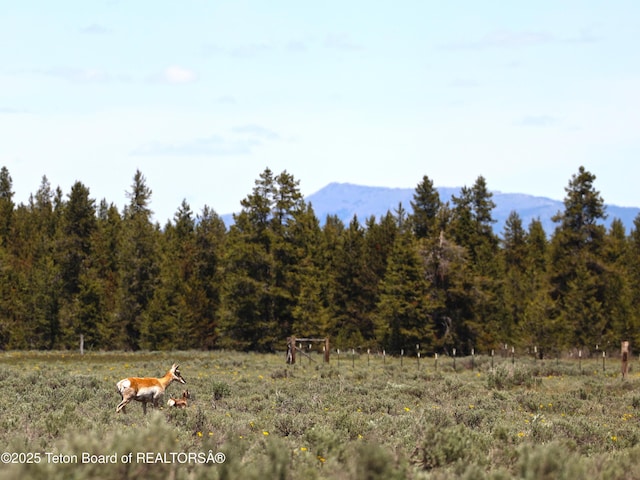 TBD Yellowstone Basin Drive, Island Park, ID 83429