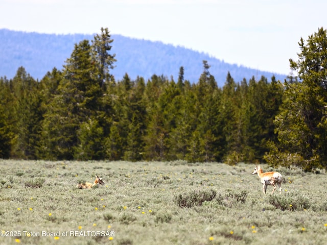 TBD Yellowstone Basin Drive, Island Park, ID 83429