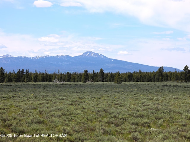 TBD Yellowstone Basin Drive, Island Park, ID 83429
