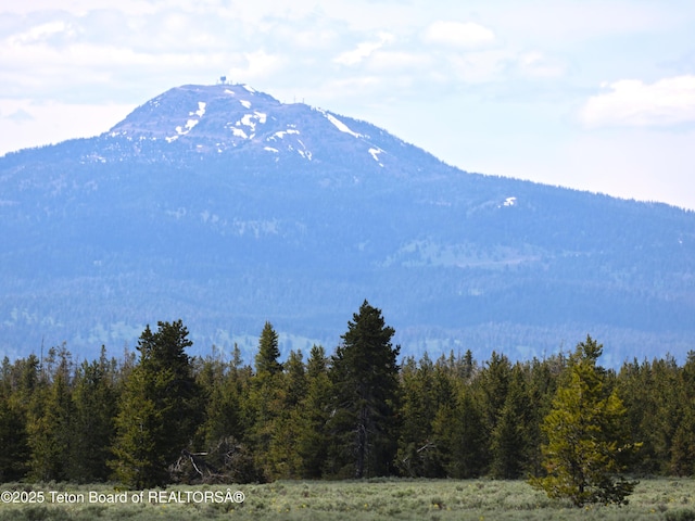 TBD Yellowstone Basin Drive, Island Park, ID 83429