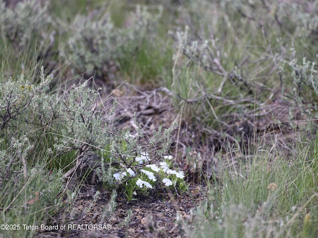 TBD Yellowstone Basin Drive, Island Park, ID 83429