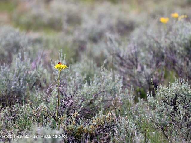 TBD Yellowstone Basin Drive, Island Park, ID 83429