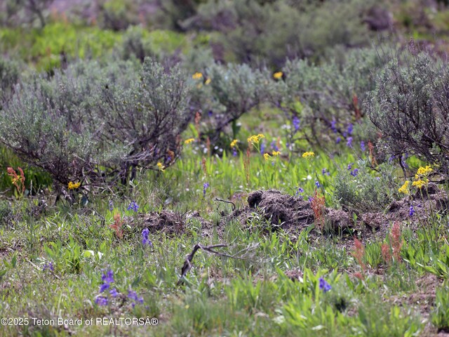 TBD Yellowstone Basin Drive, Island Park, ID 83429
