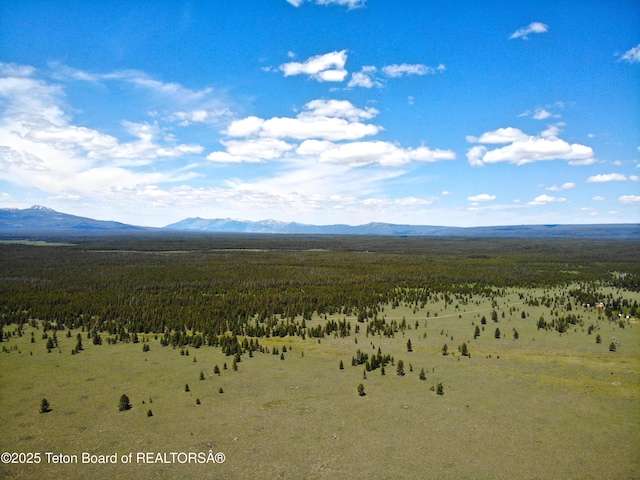 TBD Yellowstone Basin Drive, Island Park, ID 83429