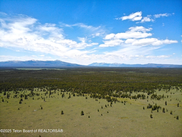 TBD Yellowstone Basin Drive, Island Park, ID 83429