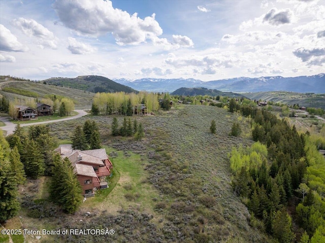 195 W Wolf Dr, Jackson, WY 83001 - view of mountain backdrop with rural landscape
