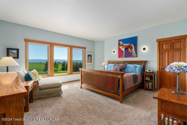 430 Yellow Rose Dr, Alta, WY 83414 - photo 31
