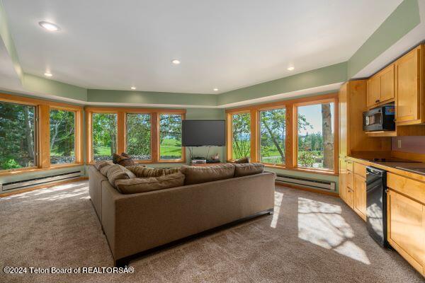 430 Yellow Rose Dr, Alta, WY 83414 - photo 46