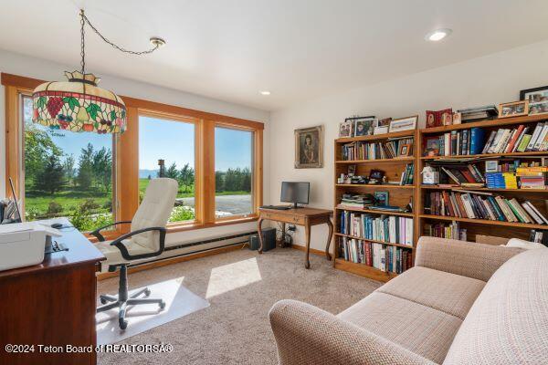430 Yellow Rose Dr, Alta, WY 83414 - photo 51
