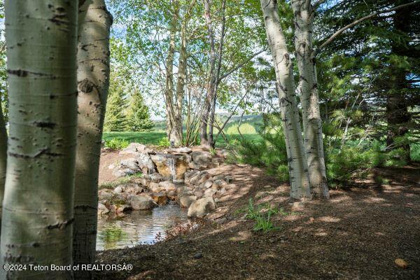 430 Yellow Rose Dr, Alta, WY 83414 - photo 56