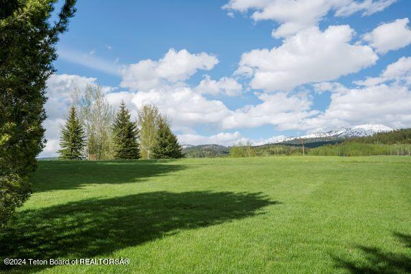 430 Yellow Rose Dr, Alta, WY 83414 - photo 59