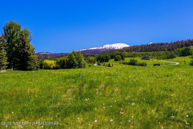 430 Yellow Rose Dr, Alta, WY 83414 - photo 7