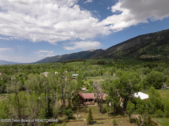 205 Betsy Ct, Bedford, WY 83112 - view of mountain background featuring a heavily wooded area