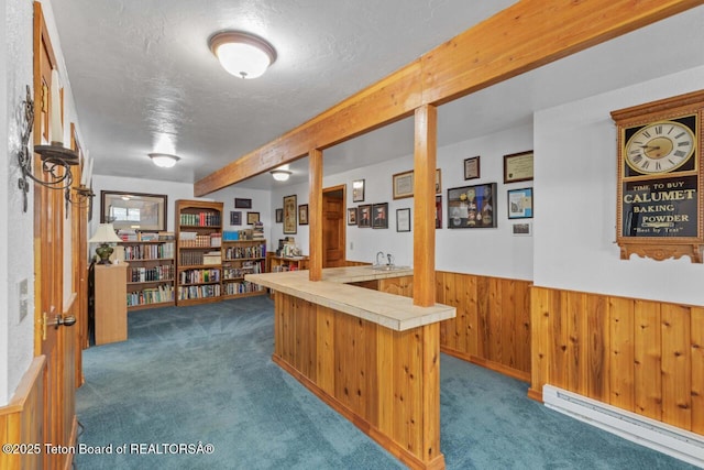 205 Betsy Ct, Bedford, WY 83112 - carpeted home office featuring a baseboard heating unit, a wainscoted wall, a textured ceiling, and wood walls
