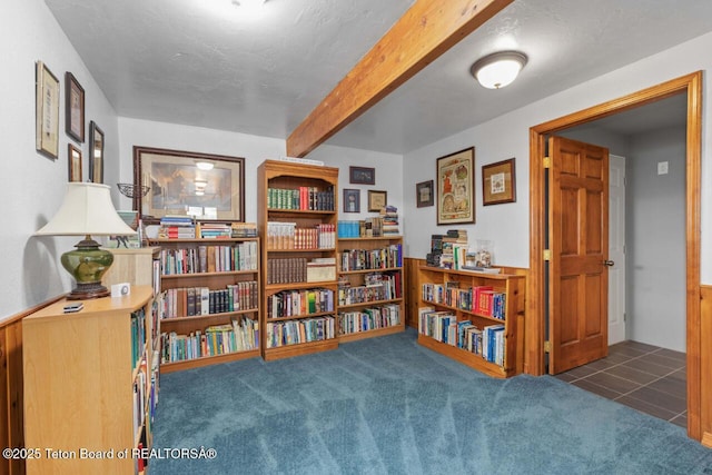 205 Betsy Ct, Bedford, WY 83112 - living area featuring beam ceiling, carpet flooring, and tile patterned floors