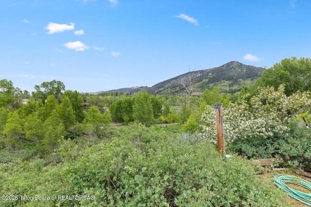 205 Betsy Ct, Bedford, WY 83112 - mountain view