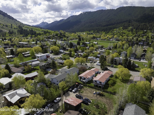 677 E Simpson Ave, Jackson, WY 83001 - photo 21