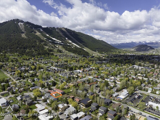 677 E Simpson Ave, Jackson, WY 83001 - photo 19
