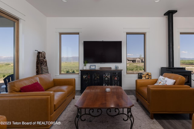 6118 Hatfield Way, Driggs, ID 83422 - living room featuring a wood stove, wood finished floors, healthy amount of natural light, and recessed lighting