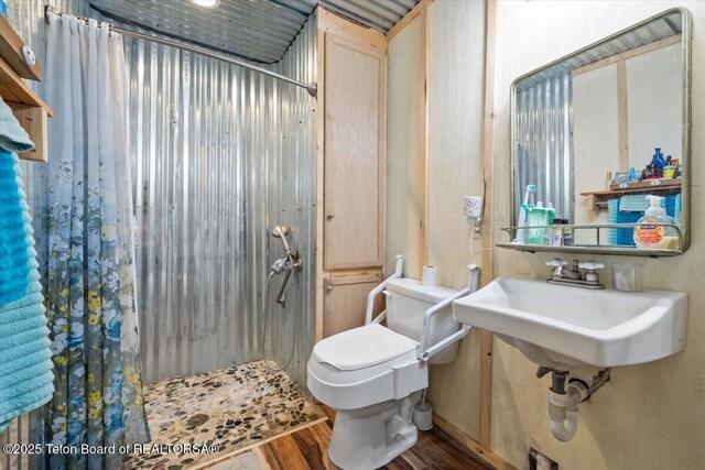 62 Skyline Dr, Bondurant, WY 82922 - bathroom featuring wood finished floors, a shower with curtain, toilet, and a sink