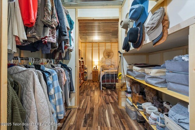 62 Skyline Dr, Bondurant, WY 82922 - walk in closet with wood finished floors