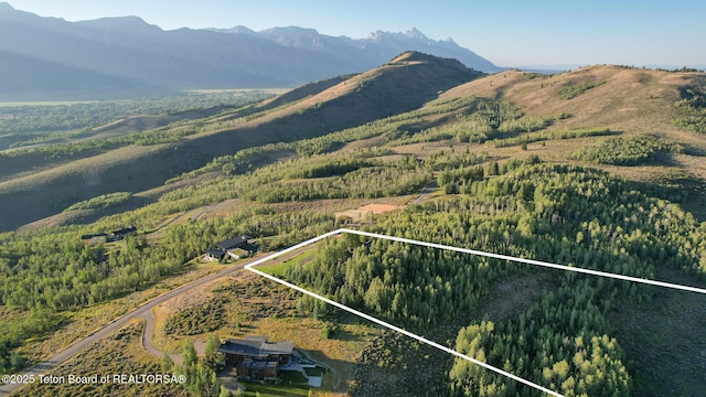 2540 Trader Rd, Jackson, WY 83001 - view of mountain backdrop featuring a forest
