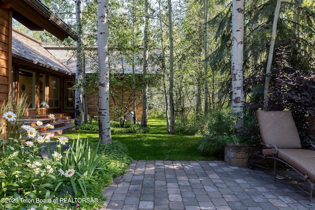 2540 Trader Rd, Jackson, WY 83001 - view of patio