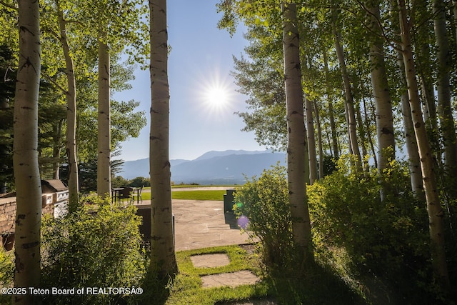 2540 Trader Rd, Jackson, WY 83001 - view of yard featuring a mountain view and a patio