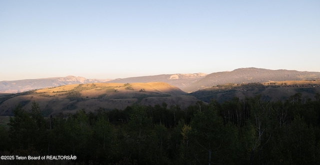 2540 Trader Rd, Jackson, WY 83001 - view of mountain background