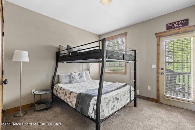 715 Moraine Ct Unit 36, Driggs, ID 83422 - bedroom with carpet floors