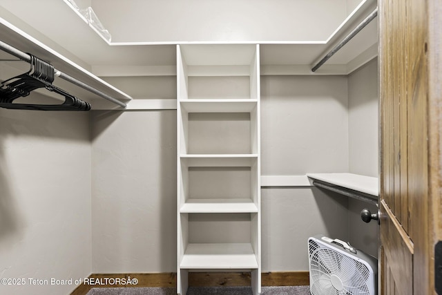 715 Moraine Ct Unit 36, Driggs, ID 83422 - view of spacious closet