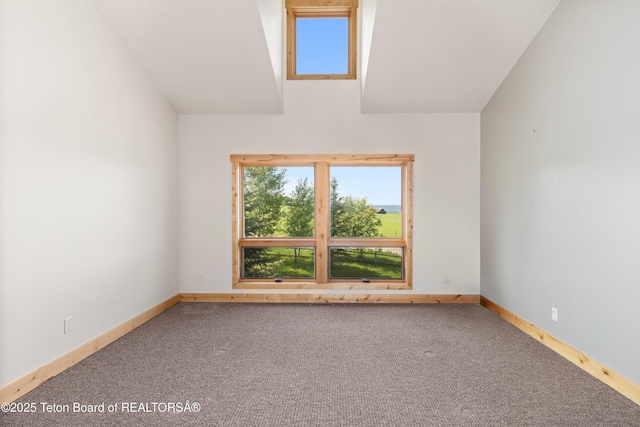 321 Western Sky Dr, Etna, WY 83118 - photo 59