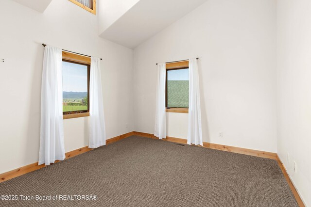 321 Western Sky Dr, Etna, WY 83118 - photo 63
