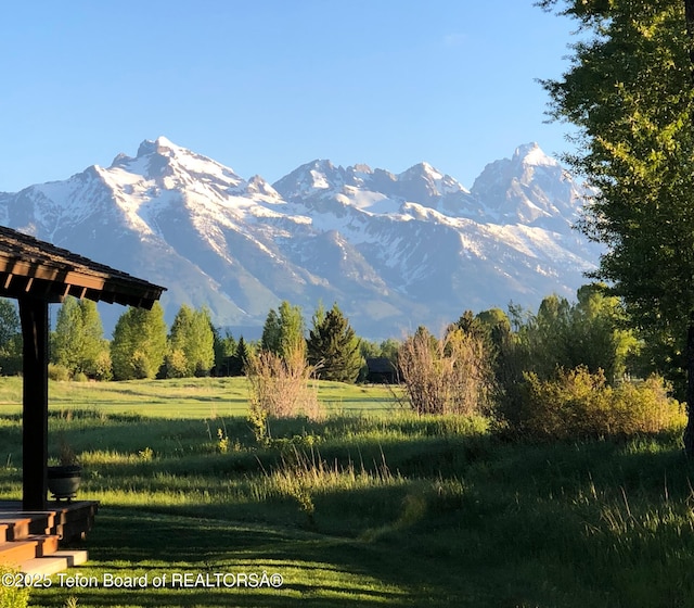 5910 N Coneflower Dr Unit 30, Jackson, WY 83001 - view of mountain background