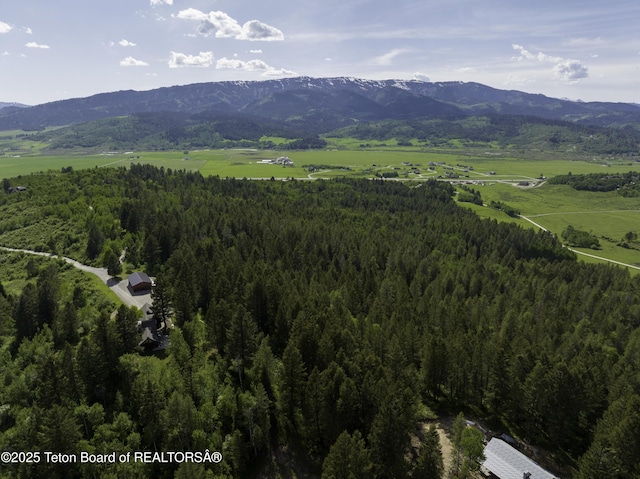L202 Alpine Hills Dr, Alpine, WY 83128 - photo 3