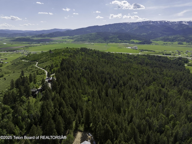 L202 Alpine Hills Dr, Alpine, WY 83128 - photo 4