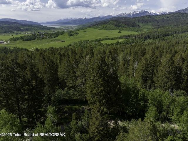 L202 Alpine Hills Dr, Alpine, WY 83128 - photo 6