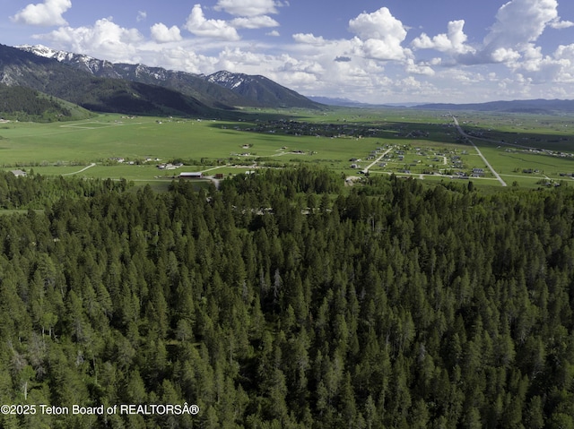 L202 Alpine Hills Dr, Alpine, WY 83128 - photo 10