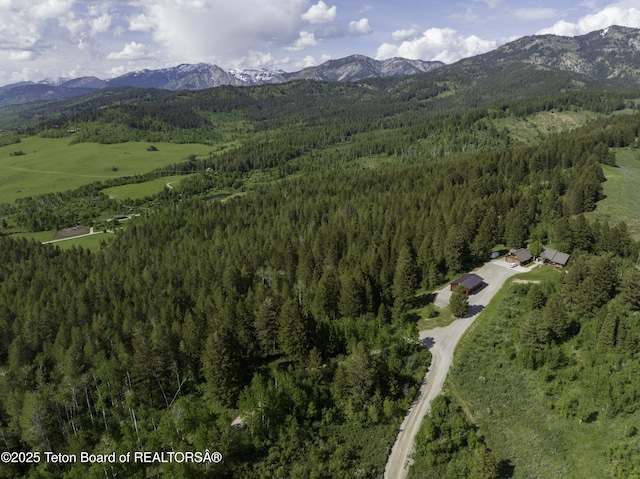 L202 Alpine Hills Dr, Alpine, WY 83128 - photo 14