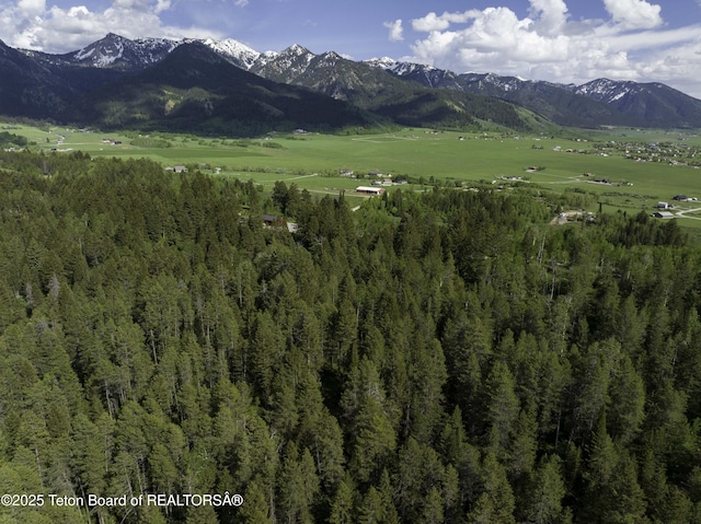 L202 Alpine Hills Dr, Alpine, WY 83128 - photo 17